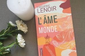 ame_du_monde_frederic_lenoir